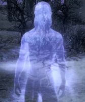 VC-Jiub