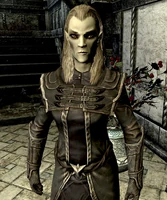 VC-Elenwen