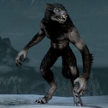 Hombre Lobo.jpg