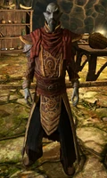Master Neloth Dragonborn