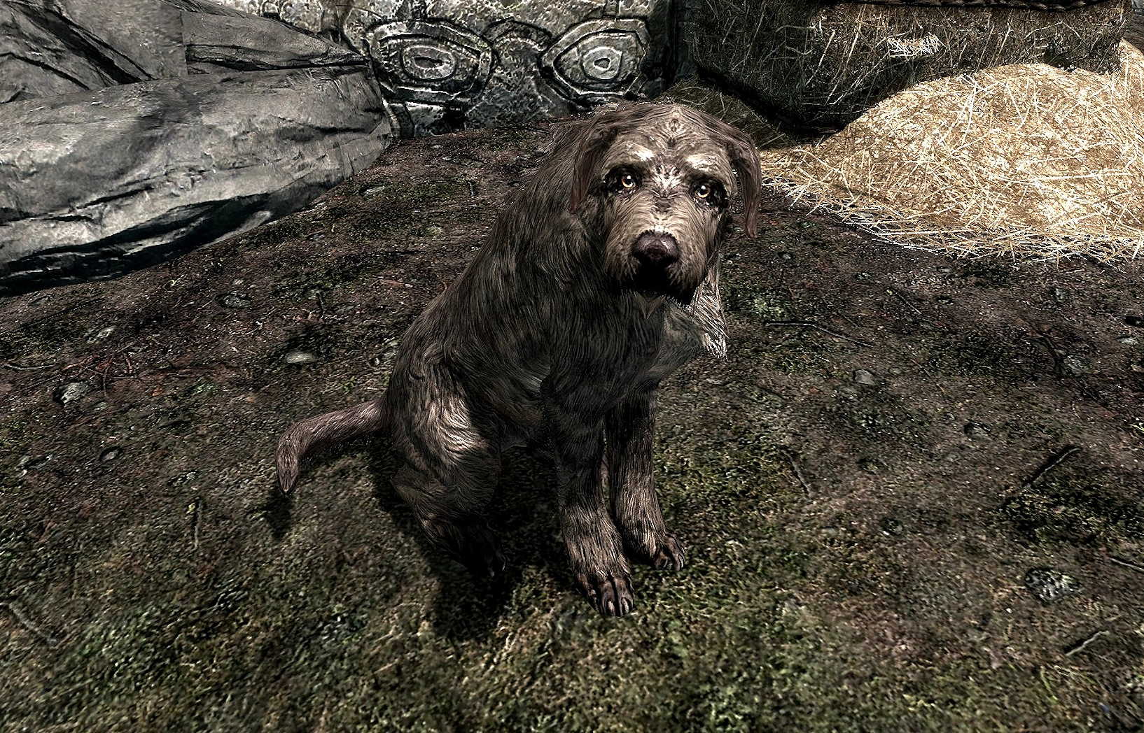 irish wolfhound skyrim