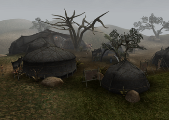Morrowind eine weise frau treffen