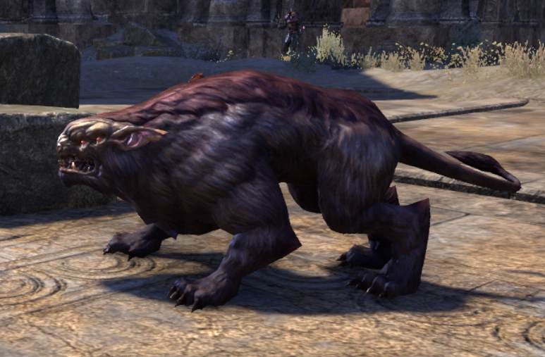 latest?cb=20170301175233&path-prefix=de