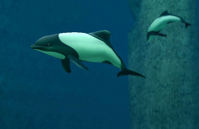 endless ocean sperm whale white girls in fisting sex porn