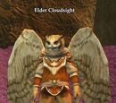 Elder Cloudsight