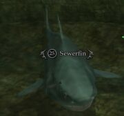 Sewerfin