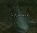 Sewerfin