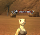 Trainer Ilya