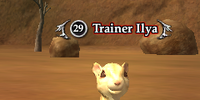 Trainer Ilya