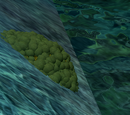 Eggcelent Population