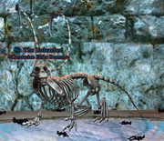 The Unleashed