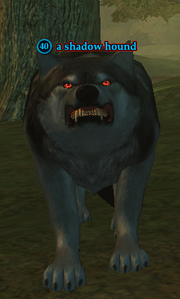 A shadow hound