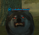 A shadow hound