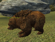 A cobalt brownhide