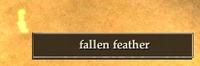 Fallen feather