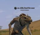 An Alliz Raef Ew seer