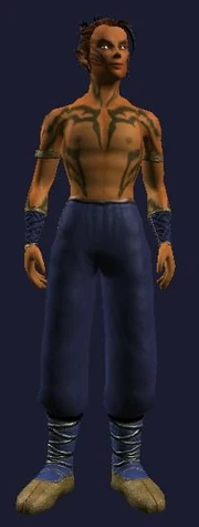 Pristine Tailored Dexterous Bristled Leather Gi (Visible, Male)