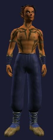 Pristine Tailored Dexterous Bristled Leather Gi (Visible, Male)