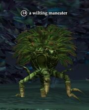 A wilting maneater
