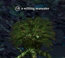 A wilting maneater