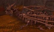 Dracoliche
