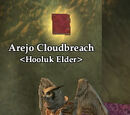 Arejo Cloudbreach