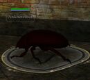 Ankhefemut
