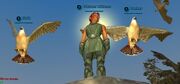 Falconer Lithkeen