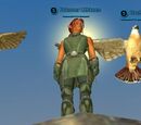 Falconer Lithkeen