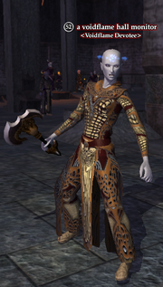A voidflame hall monitor