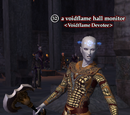 A voidflame hall monitor