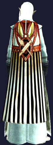 File:Cloak of the Master Provisioner.jpg