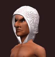 Magus's Spellbound Weave Cowl of Blasting (Equipped)
