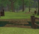 Mystic Woods