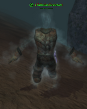 A Rallosian lieutenant