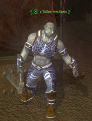 A Tallon mechanic