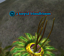 A torpid bloodbloom