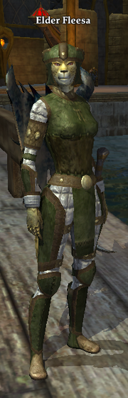 Elder Fleesa