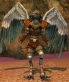 Race vultak.jpg