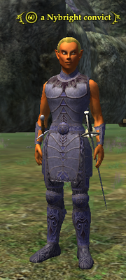 A Nybright convict