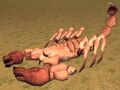 Race scorpion.jpg