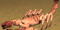 An infected grave scorpius