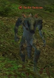 Tae Ew Tactician