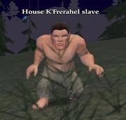 House K'Frerahel slave
