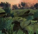 Toxxulia Forest