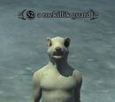 A roekillik guard