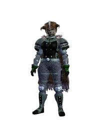 Divine Spirituality (Armor Set) (Visible, Female)