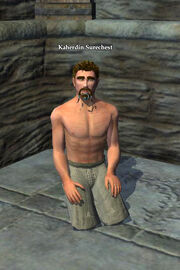 Kaherdin Surechest