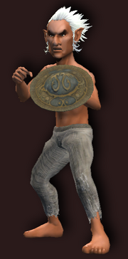 Sanctioned Shield of the Consilium (Equipped)