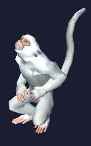 A pet monkey (visible)